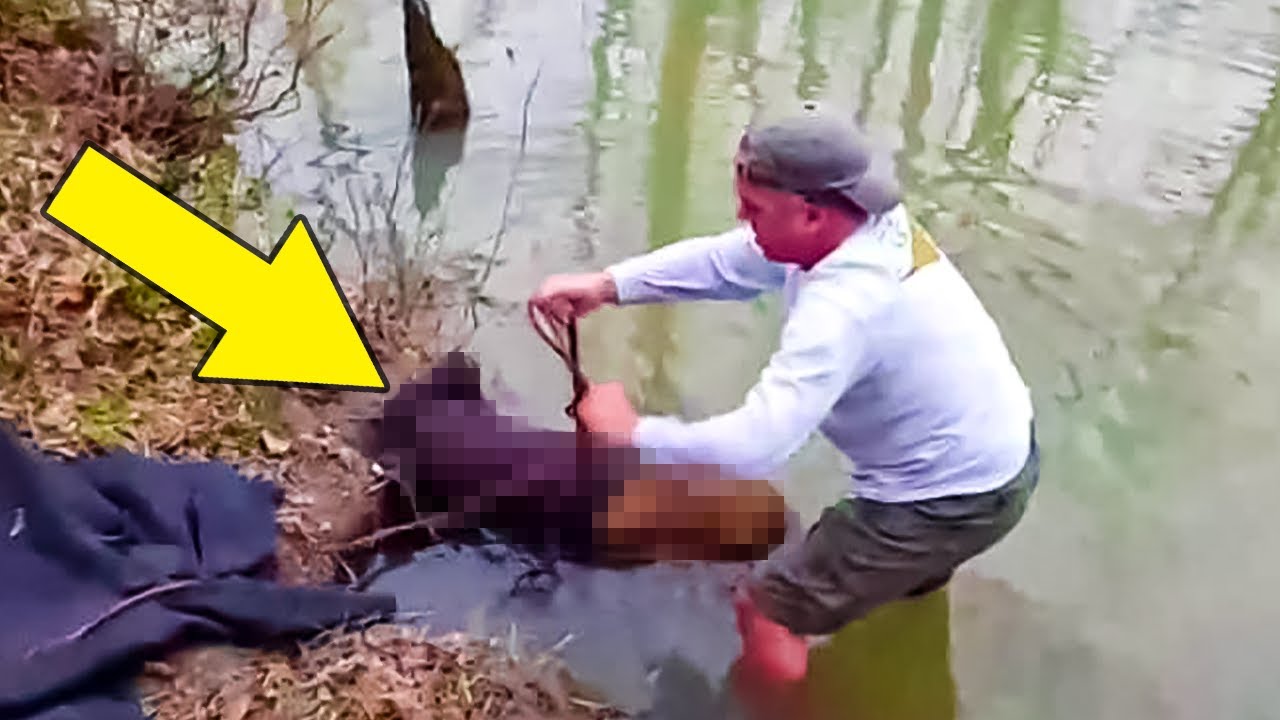 A Distressed Animal Stuck in Mud Turns out to Be What Nobody Expected YouTube