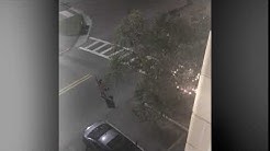 Jacksonville Florida rooftop bar Michael Jackson 