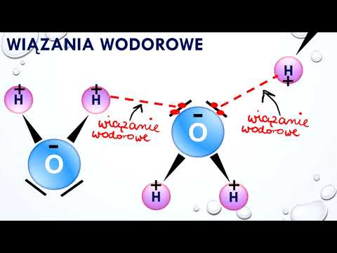 Wideo: Czy gazowe cząsteczki wody tworzą wiązania wodorowe?