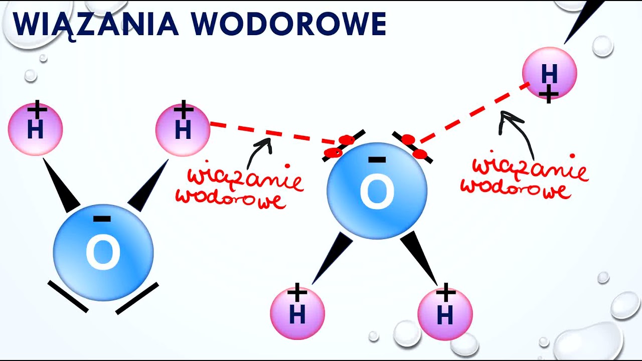 Ile Atomow Ma Czasteczka Wody