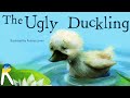 The Ugly Duckling Quiz