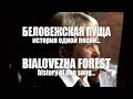 ДИМАШ / DIMASH - Беловежская Пуща / Bialovezha Forest (История песни / Song's history)