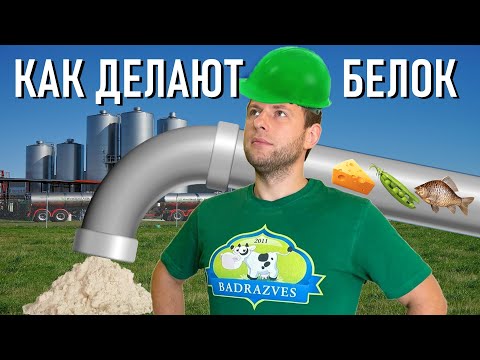 Из чего делают протеин как производят белок продукты