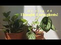 vlog/04 🍉 slow home life; taking care of plants !