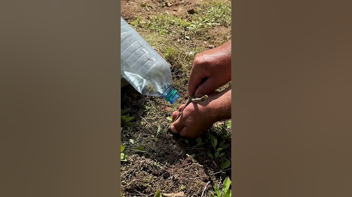 Survival Skills: Steam Distiller for Dirty Water in Extreme Conditions. #survival #camping