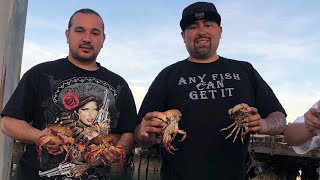 Crabbing For Red Rock Crabs In The San Francisco Bay