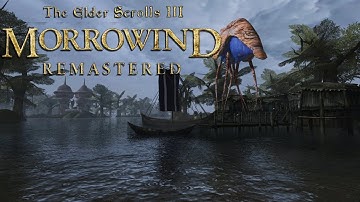 Morrowind in 2026 #morrowind