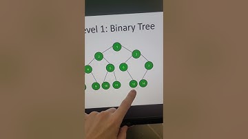 The 3 Levels of Binary Trees | Standard, Binary Search Trees (BST) and Self-Balancing (AVL)