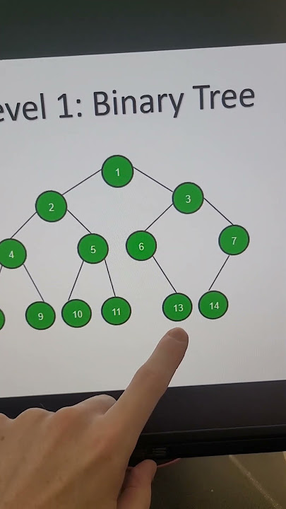 The 3 Levels of Binary Trees | Standard, Binary Search Trees (BST) and Self-Balancing (AVL)