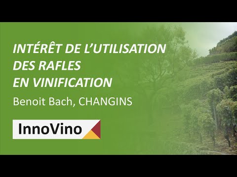 Intérêt de l’utilisation des rafles en vinification - Benoit Bach, CHANGINS