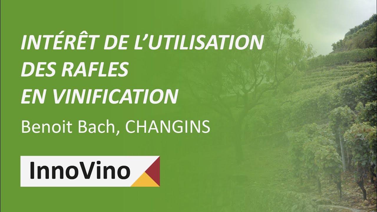 Intérêt de l’utilisation des rafles en vinification - Benoit Bach, CHANGINS