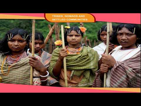 Tribes, Nomads and