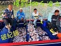 「釣魚」爆釣200斤波立~夏天季節限定~