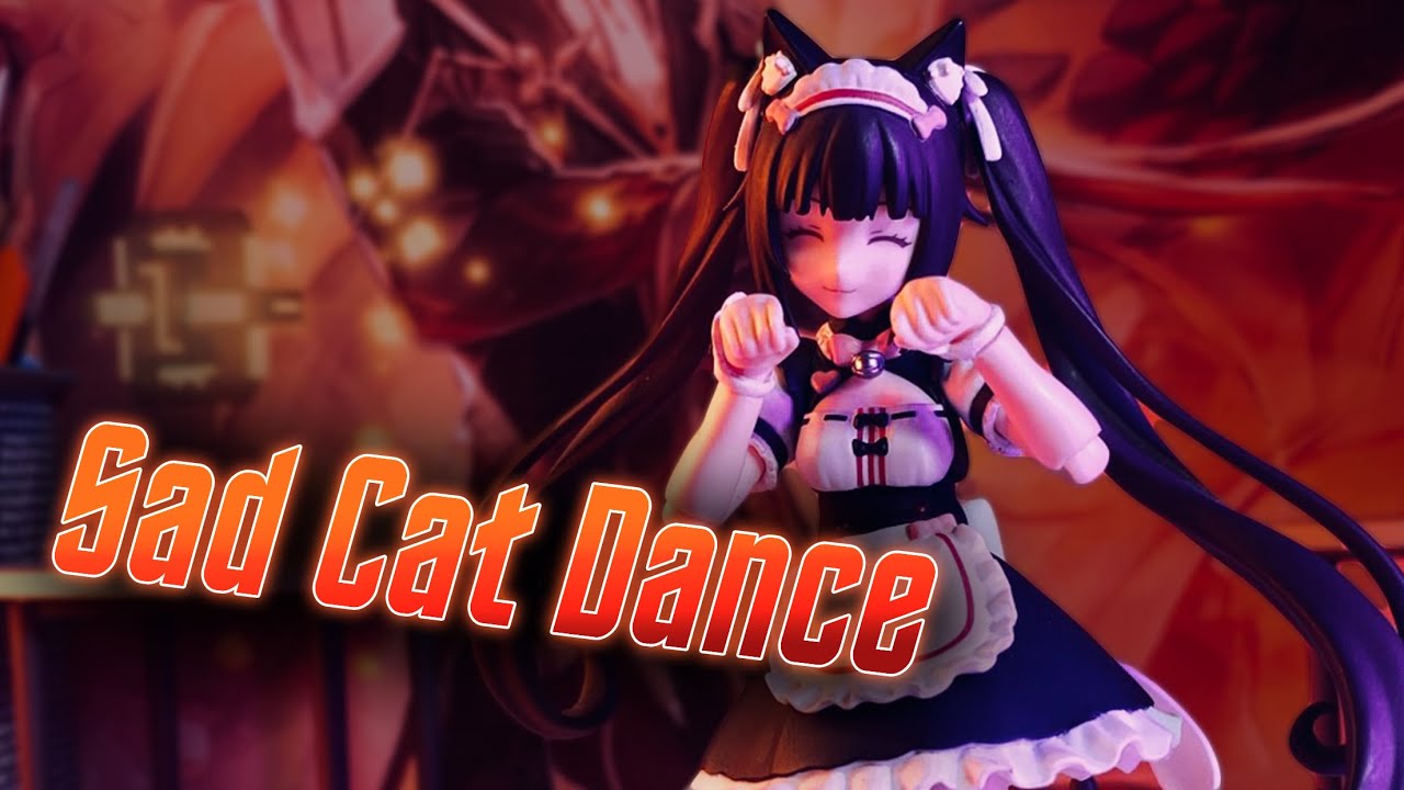 animationmeme #animetiktok #sadcatdance, cat dancing trend