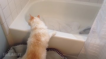 Best Fails of the Month October 2015 || FailArmy part 3