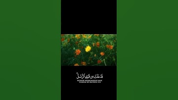 وَما محَمَّدُ إِلَّا رَسُولُ|عبد الباسط عبد الصمد كروما شاشة سوداء قرآن كريم #كرومات_قرآن #اكسبلور