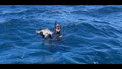 Nine Mile reef and Cook Island Day trip