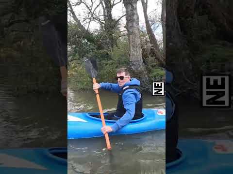 'Almost knocked him