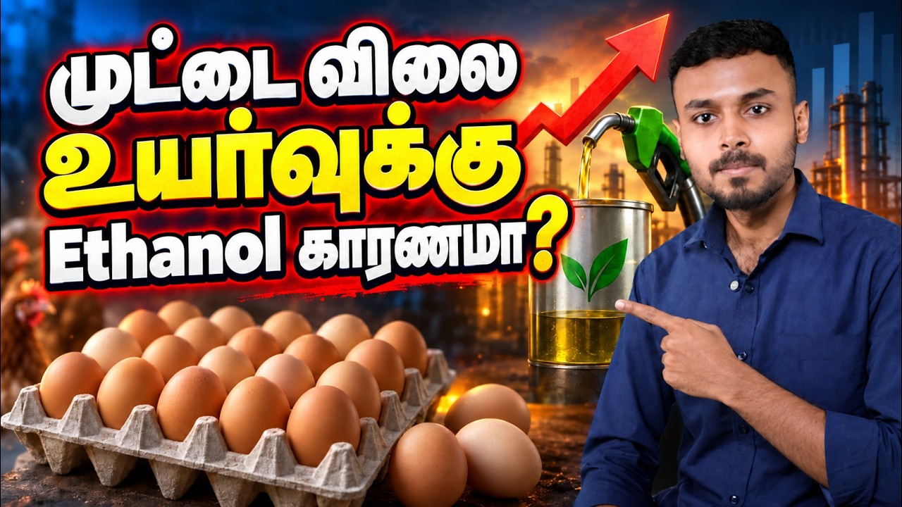 🥚 Egg Price Increase-க்கு பின்னாடி என்ன Reason? 🤔📈#tamil #egg #eggprice | panathottam