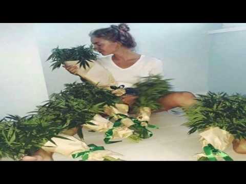 RAP RISE - ბატონო პოლიციელო