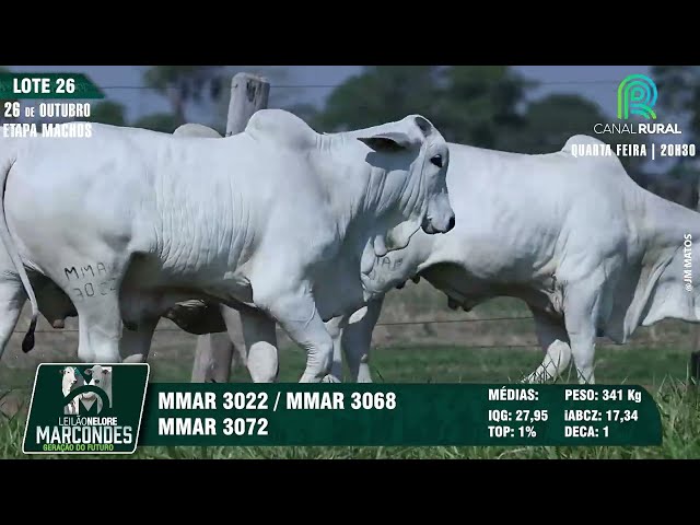 LOTE 26   MMAR 3022 3968 3072