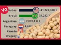 Los Países que Más Soja Exportan en el Mundo