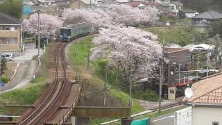 【鉄道走行動画】JR土讃線 朝倉→枝川 特急「あしずり3号」中村行 2073D 2輌(2000系)