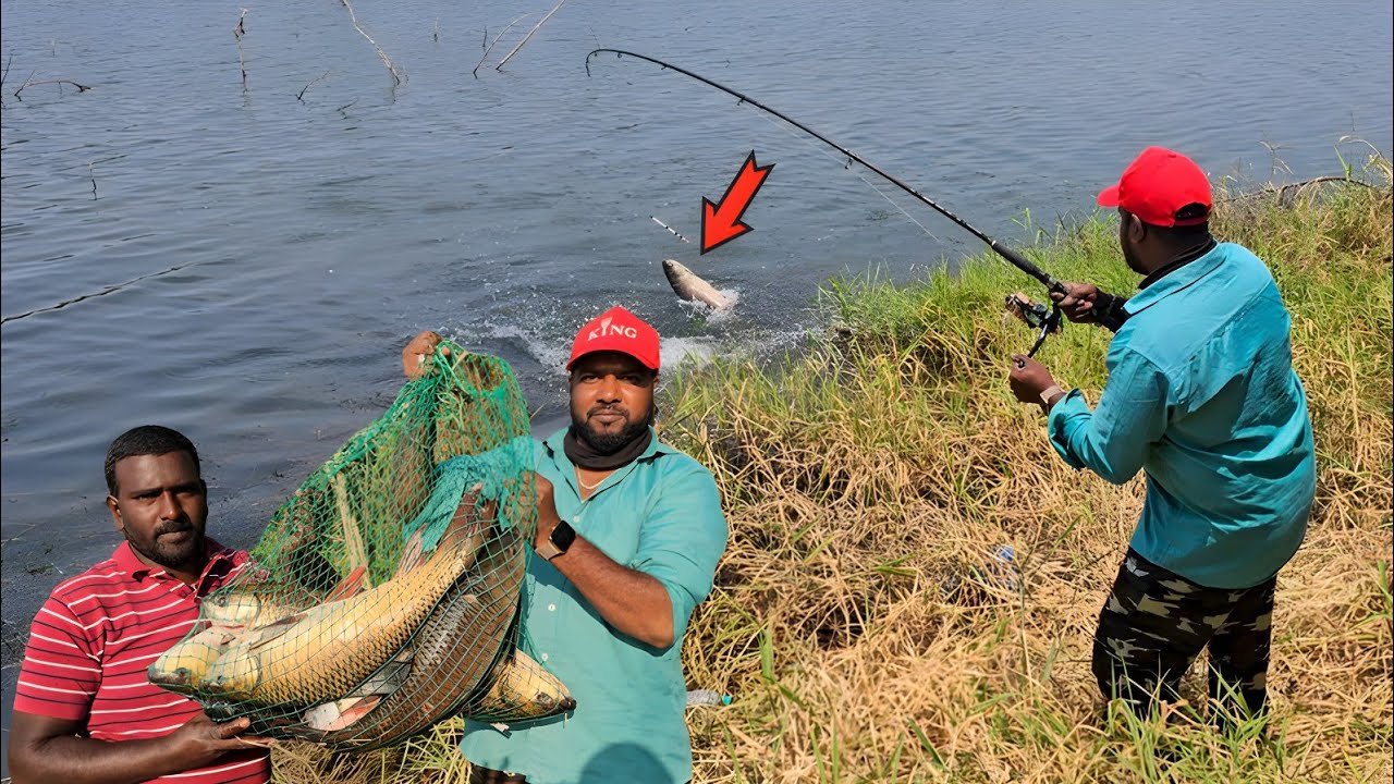 FISHING | Fish Catching Videos | River Fishing Tips And Techniques | ABS Fishing Videos in Hindi
