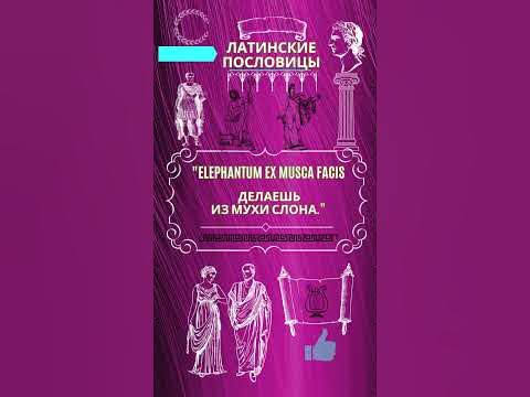 Цитата Латинские пословицы - YouTube