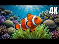 🌊 Deep Beneath the Ocean | 4K Underwater Relaxation Music for Deep Sleep and Stress Relief