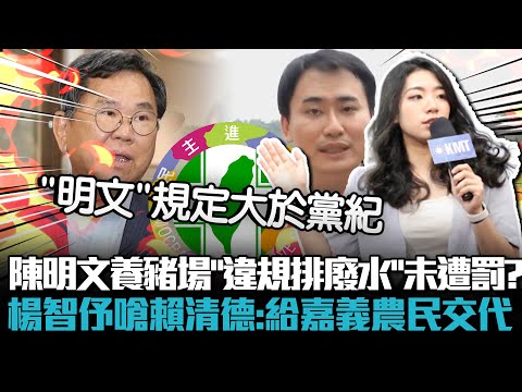 陳明文父子養豬場「違規排廢水」未遭罰？楊智伃嗆賴清德：給嘉義農民交代【CNEWS】