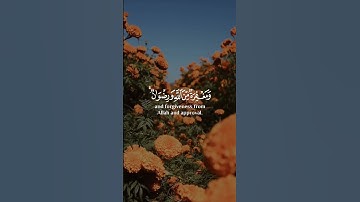 القارئ-رعد الكردي-﴿ وَمَا الحَياةُ الدُّنيا إِلّا مَتاعُ الغُرورِ﴾