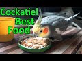 Cockatiel Mix Seed Diet For Lunch 🦜 Best Seed Mix For Cockatiel Health | #cockatiel #pets #parrot