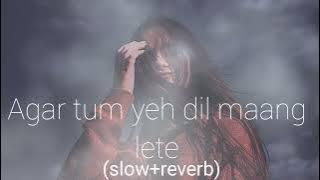 Agar tum yeh dil maang lete (Pyar Ke Liye) ||slow reverb||❤ || lofi song|| Alka Yagnik ||
