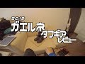 2019 ガエルネ タフギアのレビュー