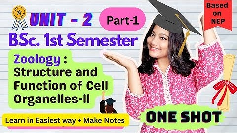 Cytoskeleton structure and function with Types | BSc 1st Sem | Unit 2 | One Shot | Hindi explanation