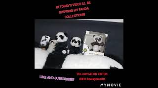 MY PANDA COLLECTION!!!!!!