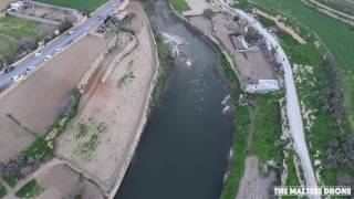 Swans in Gozo aerial view drone 2017