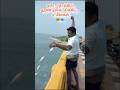 ஒரே நேரத்தில் தூண்டிலில் சிக்கிய 4 மீன்கள்🐠🐟 #fishing #pambanbridge