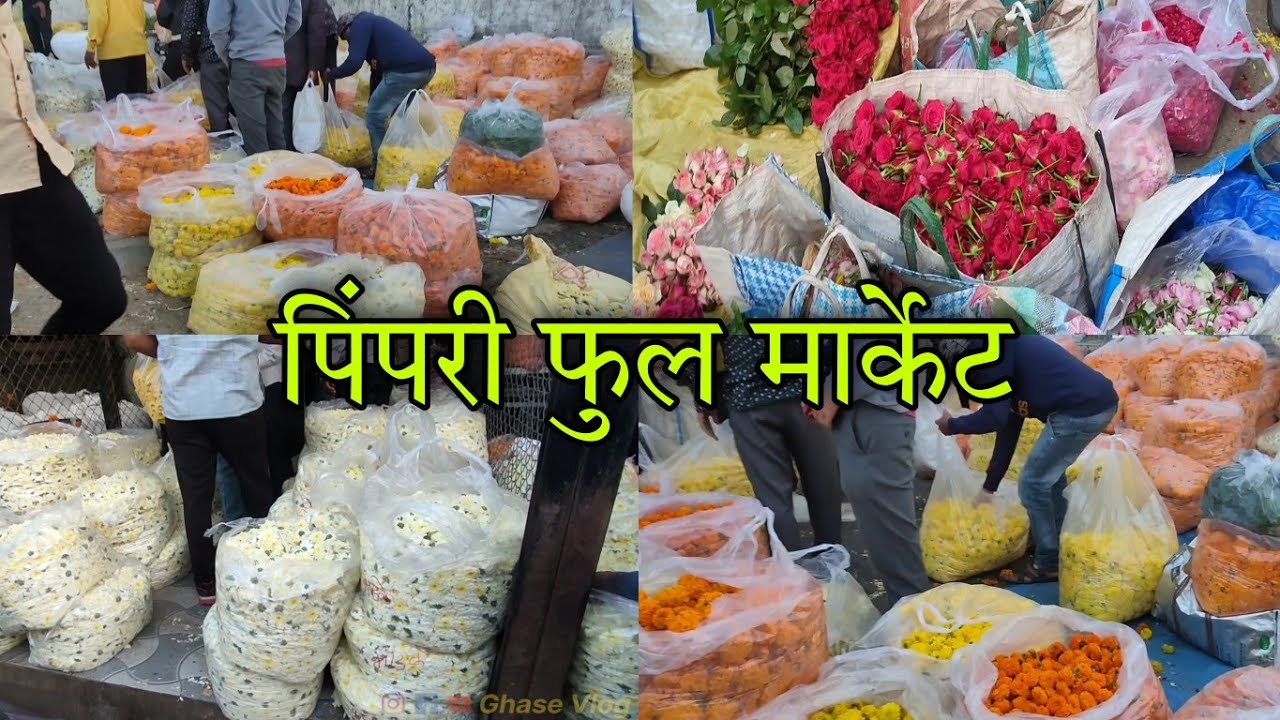 Flower market फुल मार्केट Pimpri Pune YouTube