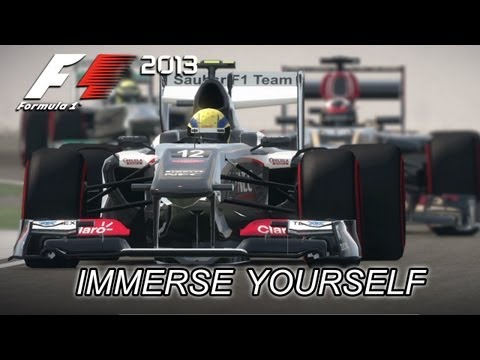 F1 2013 -