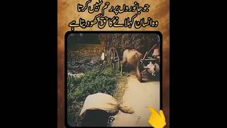 Mercy For The Voiceless