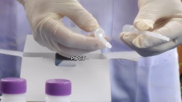 Video Tutorial Boraks Test KIt Purnamalab