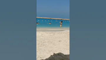 روعة مارينا واغانى المهرجانات والساحل الشمالي 2022 