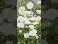 Dźwięki z ogrodu, dzień dobry w piątek