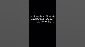 الآيات (57_59) من سورة النحل