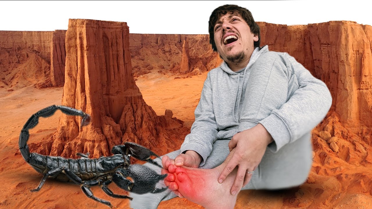 لدغتني عقرب في أجمل جبال الجزائر 🦂😨 - Stung by a Scorpion
