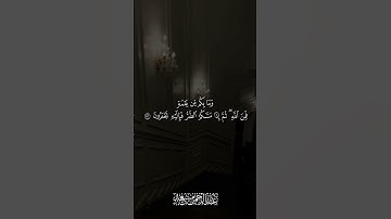 وما. بكم من نعمة فمن الله سورة النحل عبدالرحمن مسعد