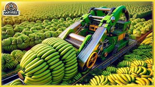 The Most Modern Agriculture Machines That Are At Another Level ,Harvest Banana|Harvest Innovators