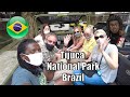 Tijuca national park tour sights to see in rio de janeiro sightseeing